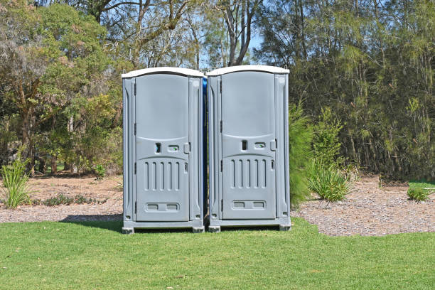 Best Pest Control for Lawns  in Ovilla, TX